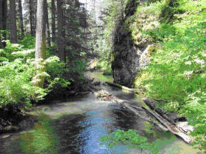 greenwater-river-trail